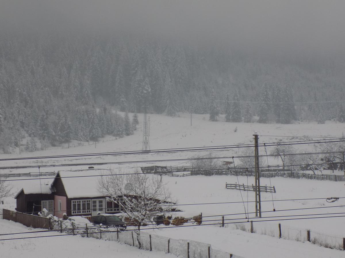 Sweet Home Bucovina Frasin Petreceri Private Si Majorate Exterior foto